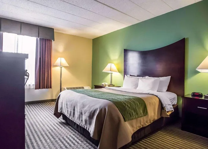 Quality Inn Mill Hall - Lamar